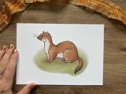 Autumn Stoat Artwork | Happy Autumn Stoat Art Print