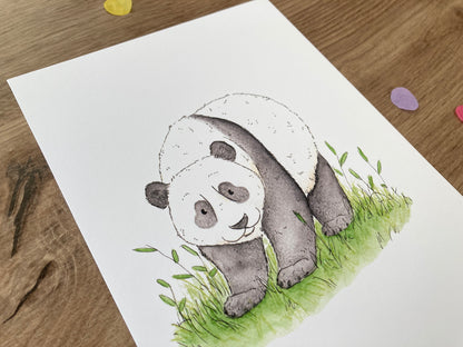 Giant Panda Bear | Panda Bear Art Print | Bears Of The World Artwork