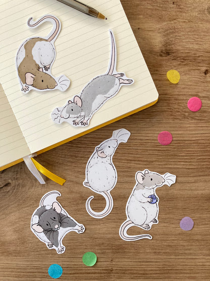 Ratty Christmas Gift Box | Rat Christmas Present | Gift Bundle