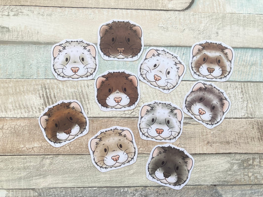 Cute ferret sticker pack | pack of 10 cute Ferret Faces Stickers