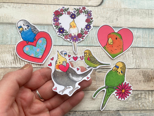 Love Bird Stickers | Set Of 6 pet Bird Stickers