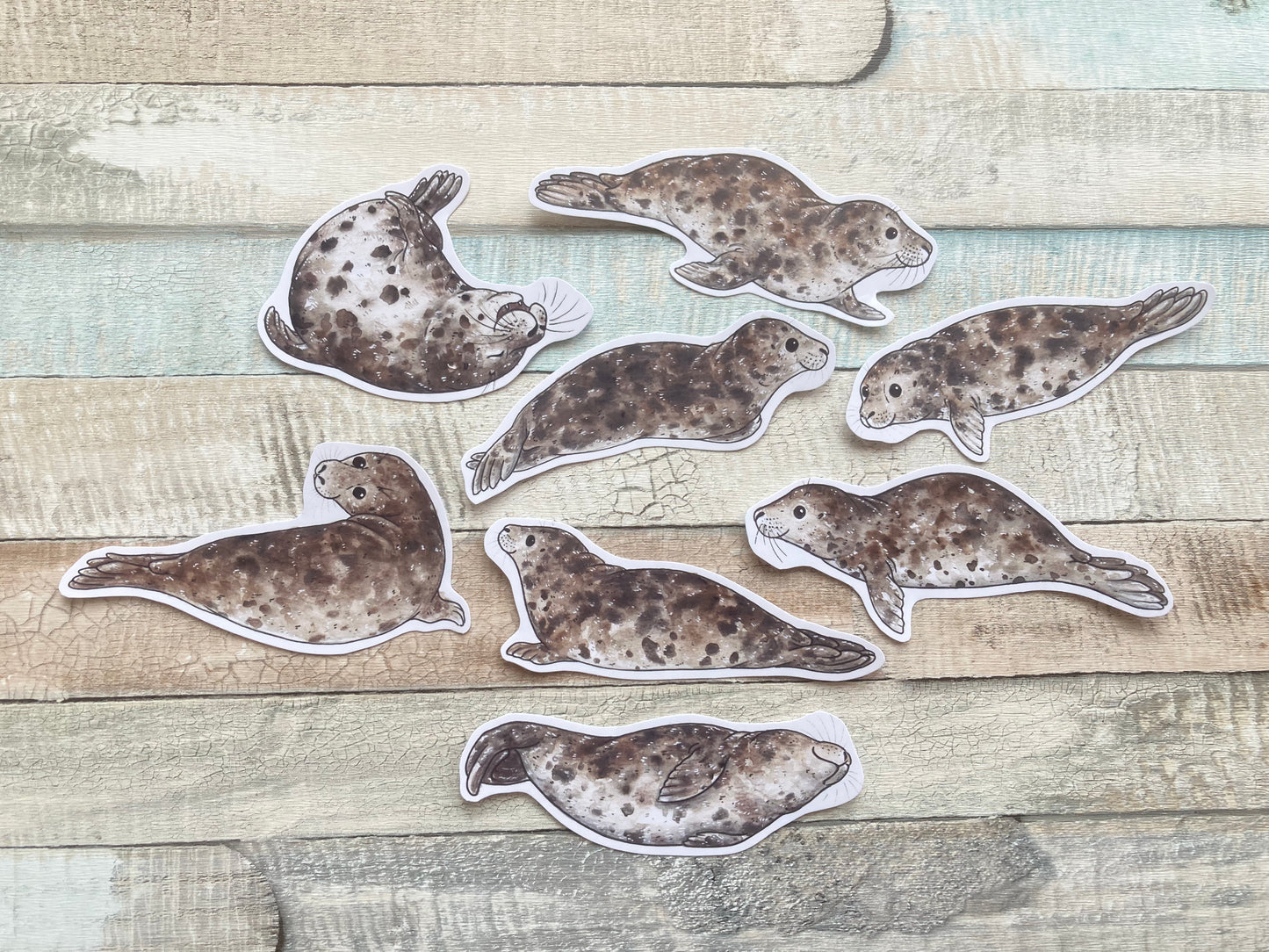 Cute Grey Seal Stickers | Set of 8 Seal Stickers