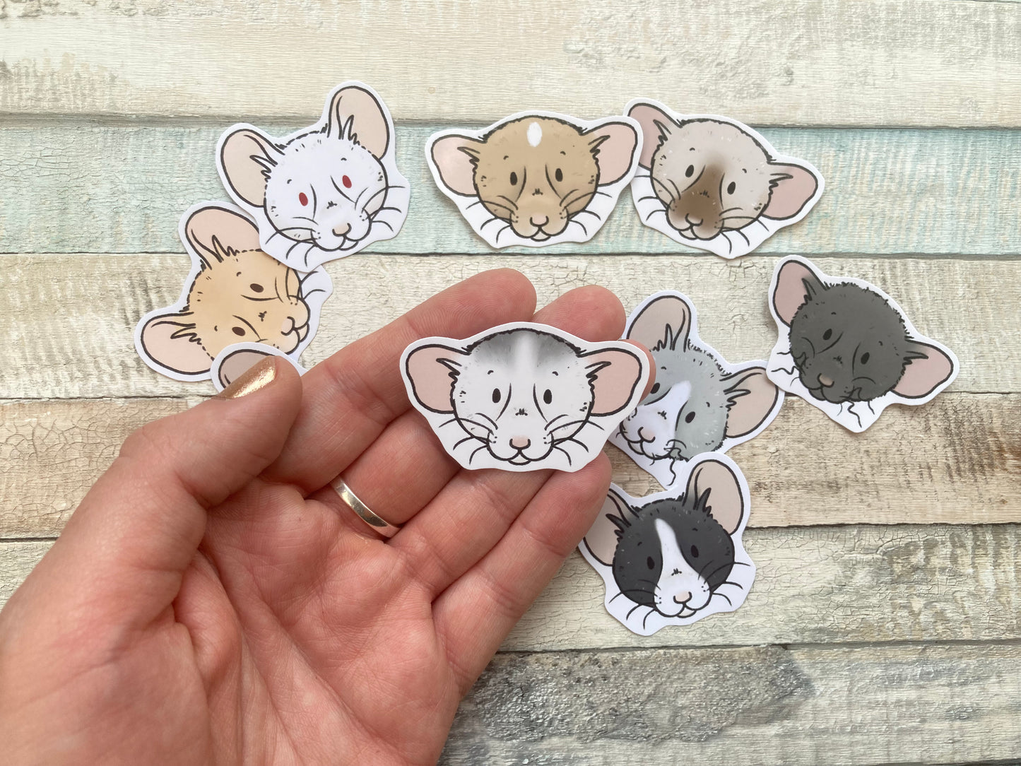 Ratty Faces Sticker Pack | pack of 10 cute rat stickers