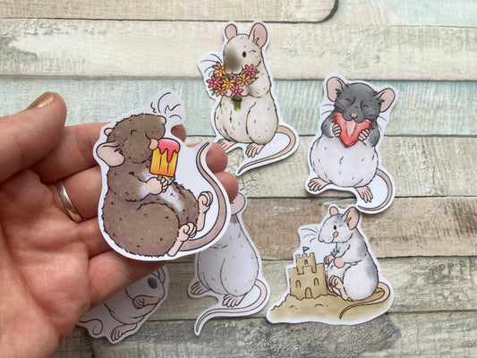 Summer Rat Stickers | Pack Of 6 Stickers