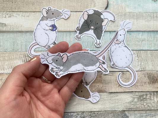 Ratty Mischief Sticker Pack | Set of 5 Rat Stickers