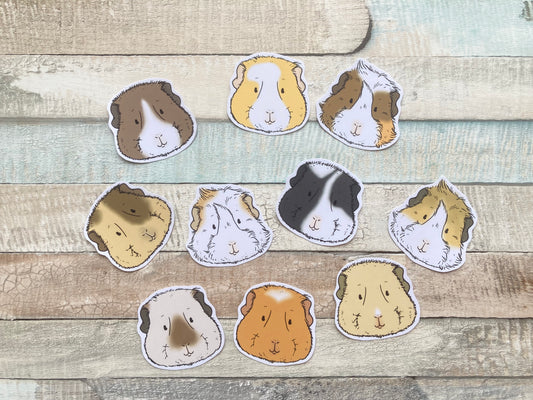 Guinea Pig Faces Stickers | Pack of 10 Guinea pig stickers