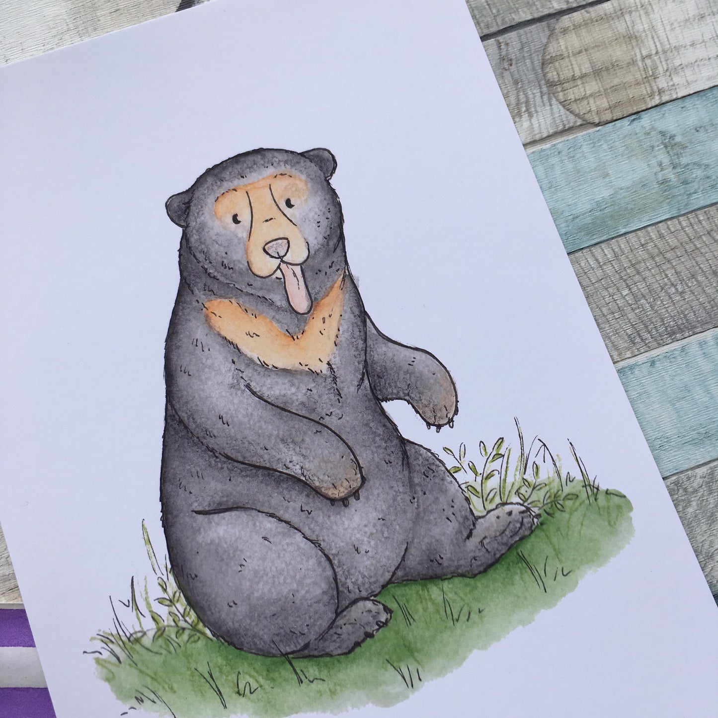Sun bear - Bears of the World Series - Watercolour painting, art print sizes A5 6x4 240gsm paper animal art bear gift