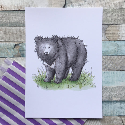 Sloth bear - Bears of the World Series - Watercolour painting, art print sizes A5 6x4 240gsm paper animal art bear gift