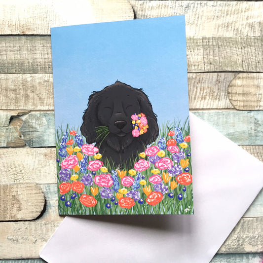 Spring Spaniel Blank A6 Sized Greeting Card, Any Occasion Dog Lover Greeting Card