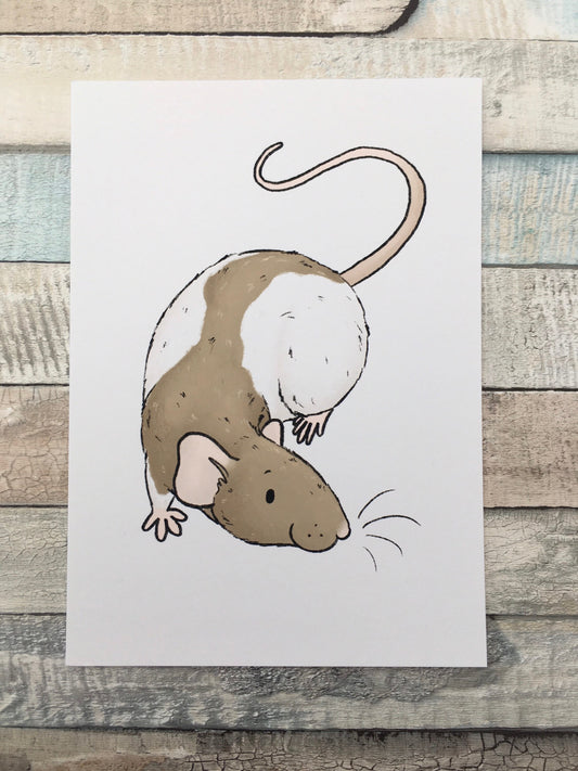 Milo Rat Art Print - A5 and 6 x 4 Sizes - Cute Hooded Rat Wall Art - Rat Gift