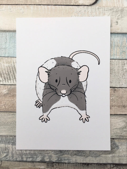 Cody Hooded Rat Art Print - A5 and 6 x 4 Sizes - Cute Pet Rat Wall Art - Rat Lover Gift