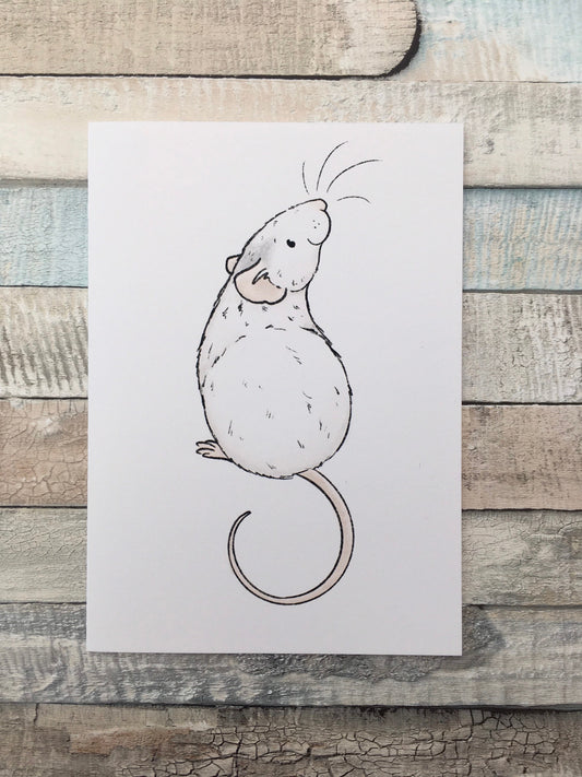 Rufus Rat Art Print - A5 and 6 x 4 inch Size - Cute Pet Rat Illustration - Rat Lover Gift