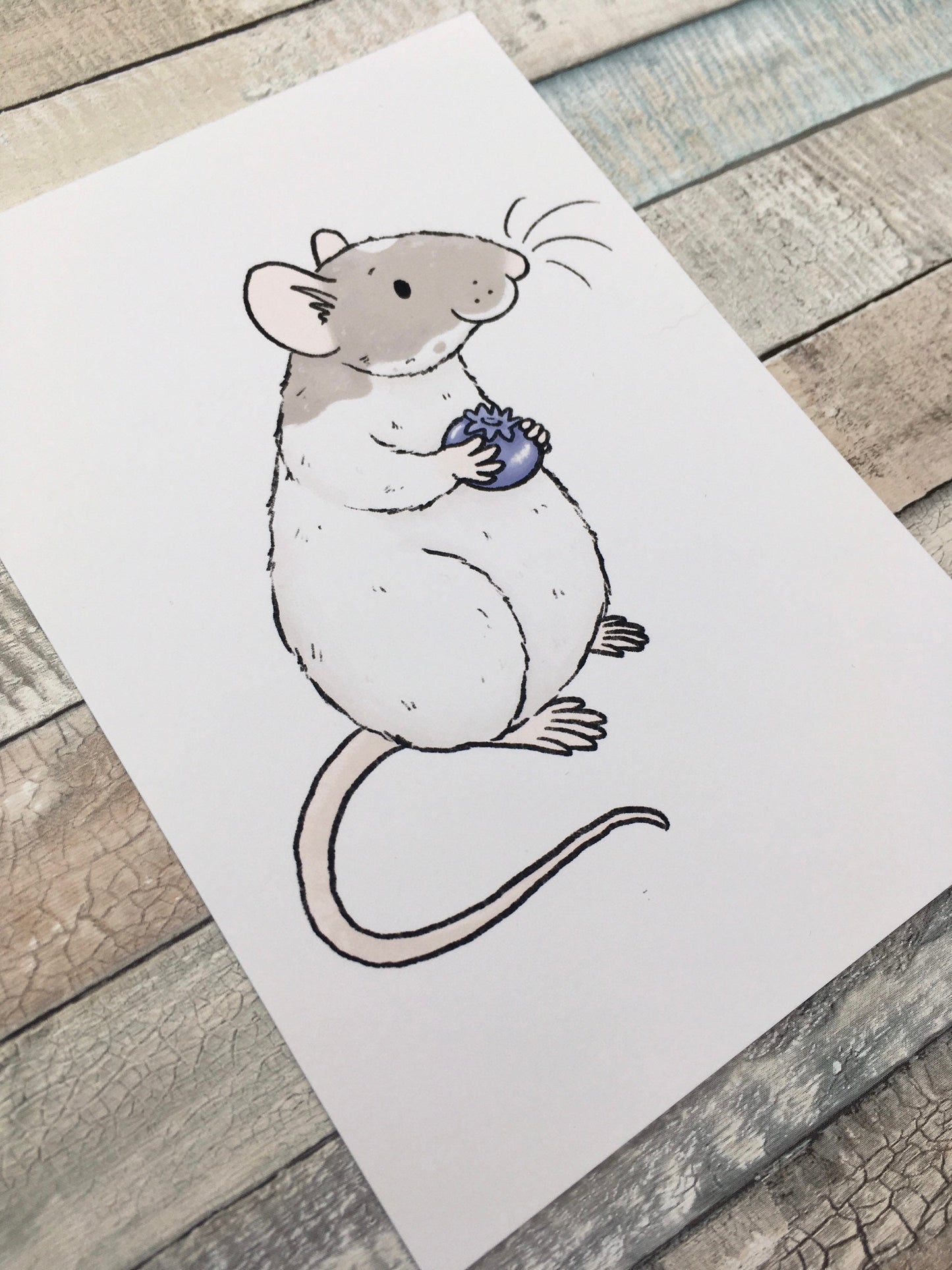 Evie Rat Art Print - A5 and 6 x 4 Inch Sizes - Cute Fancy Rat Wall Art - Pet Rat Gift