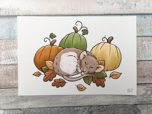 Pumpkin Ratty Art Print - A5 And 6 x 4 Sizes - Cute Pet Rat Art Print - Fancy Rat Wall Art Gift