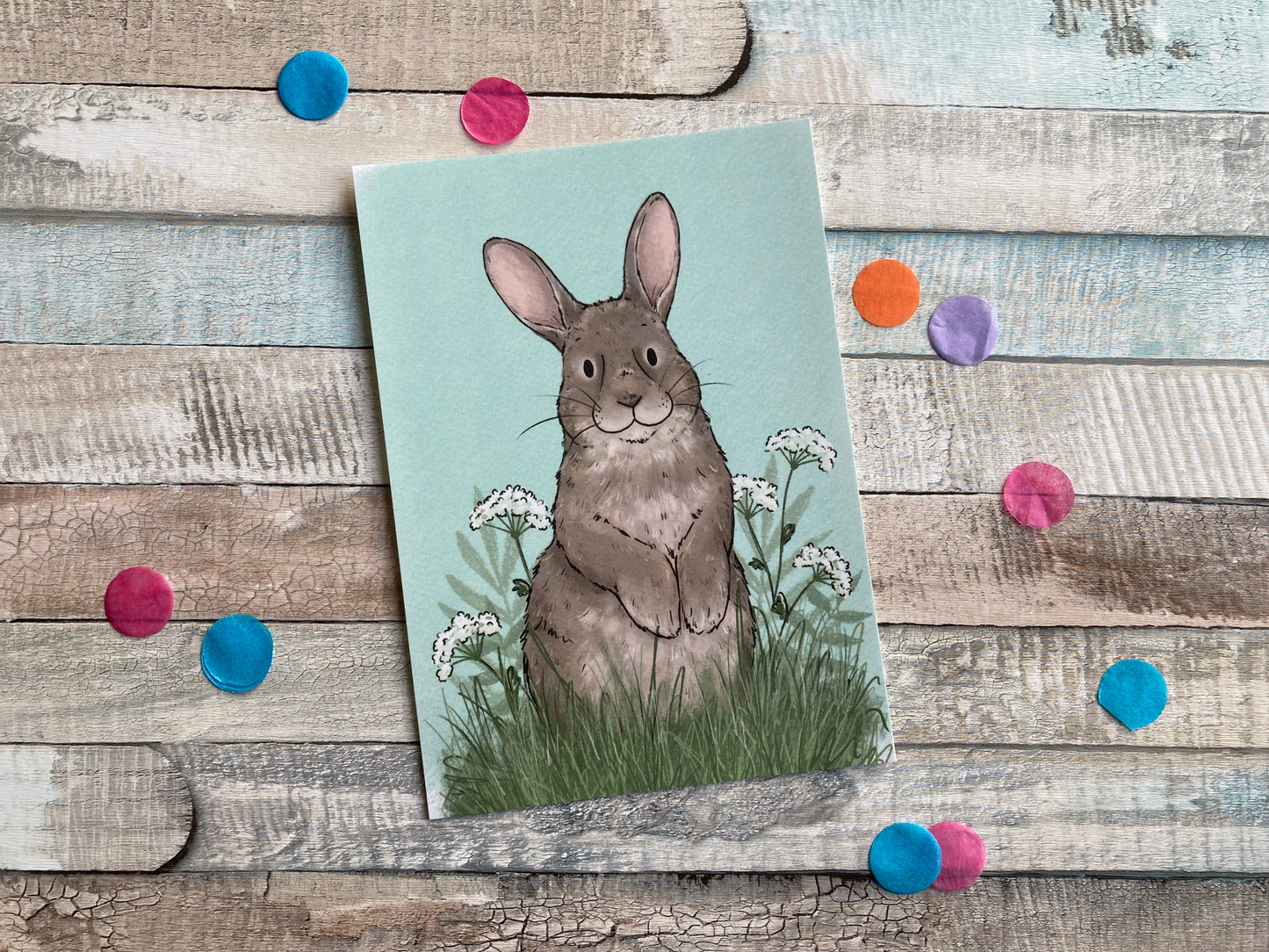A6 bunny postcard