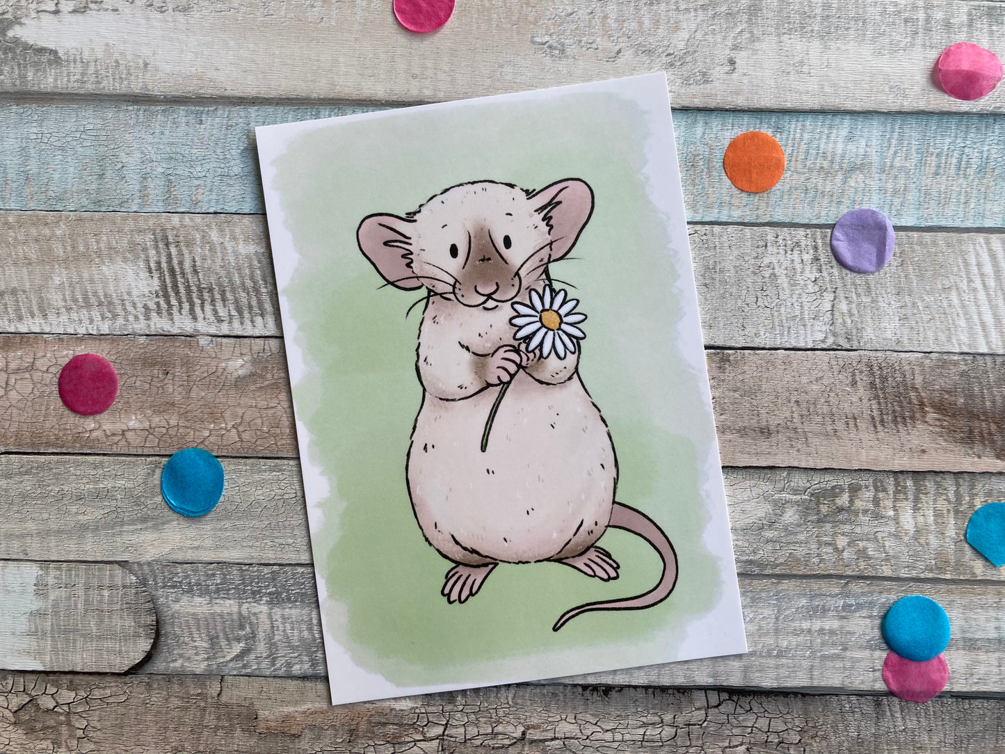 Daisy Rat A6 Postcard